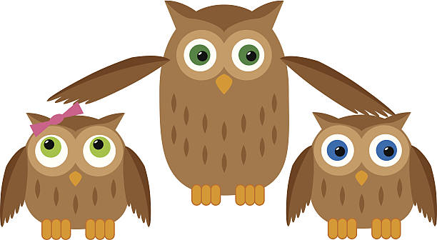 мать сова защищает своих детей - owl young animal bird mother stock illustrations