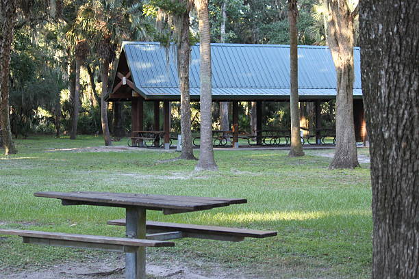 istock Lithia Springs State Park in Florida 181302678