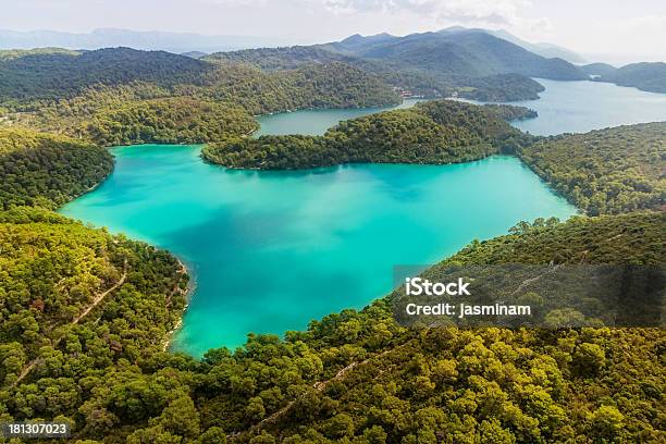 Greentoned Forested Landscape Of The Mljet Island In Crotia Stock Photo - Download Image Now