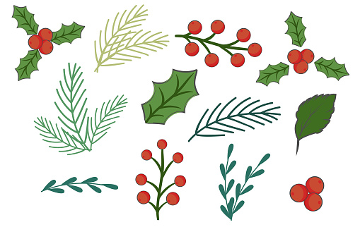 Set of hand drawn winter botany elements isolated on white background. Branches, berries and holly. Collection of elements for Christmas decorations. Vector illustration.