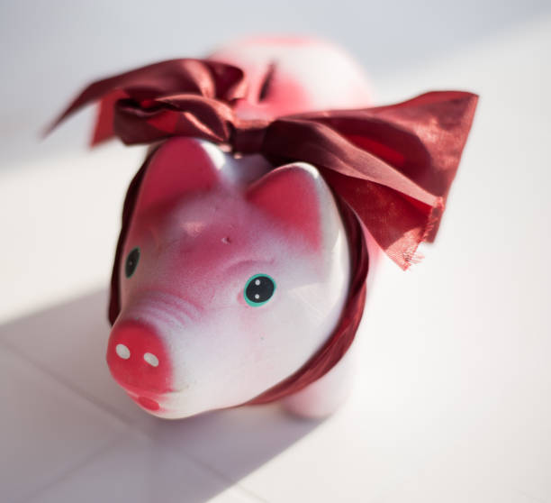 istock Piggy Bank 181307307