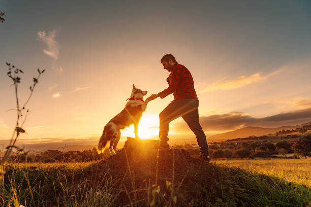 istock young man with his border collie dog 1813083709