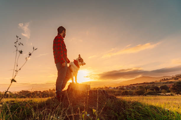 istock young man with his border collie dog 1813086498