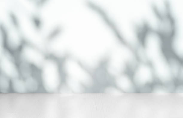 istock Wall interior background, studio and backdrops show products.with shadow from window color white . background for text insertion and presentation product 1813091119