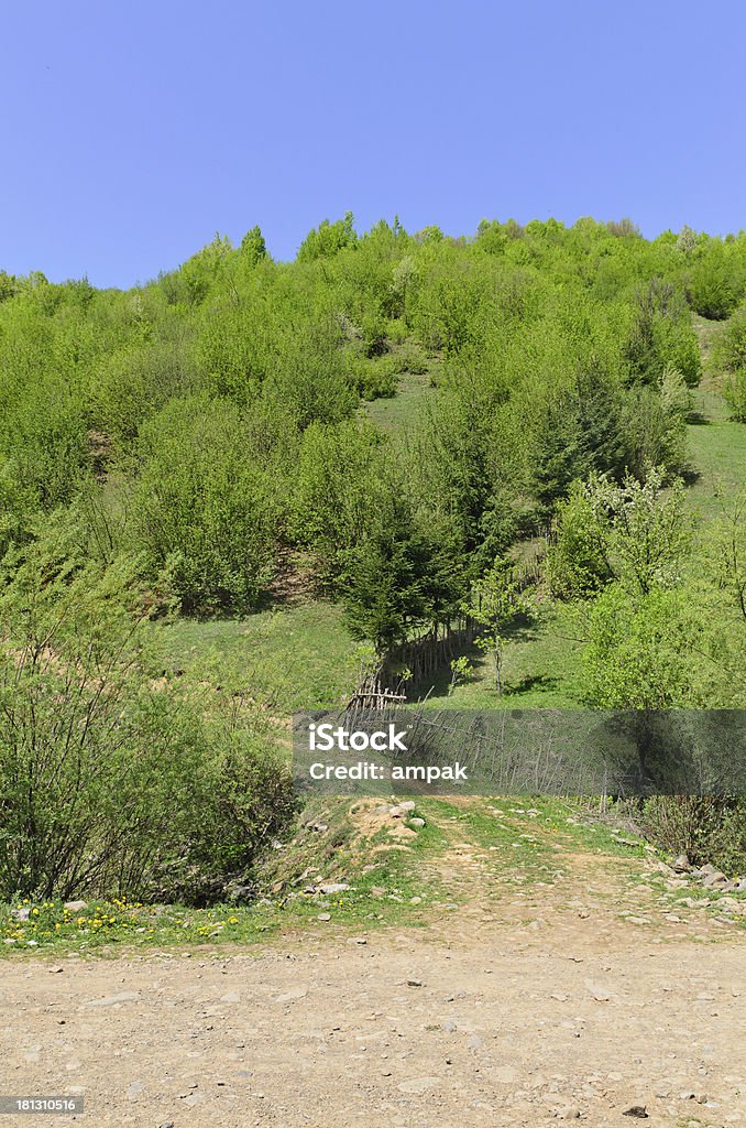 Petite de la terre ferme - Photo de Abrupt libre de droits