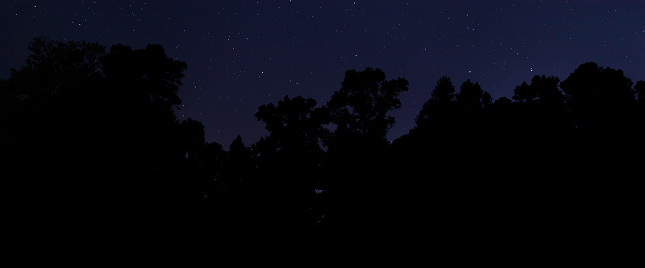 Woods in North Carolina silhouetted by a bright starry sky behind