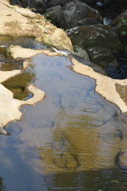 istock Clear water in a pond. 1813111262
