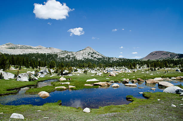 istock Yosemite National Park 181312442