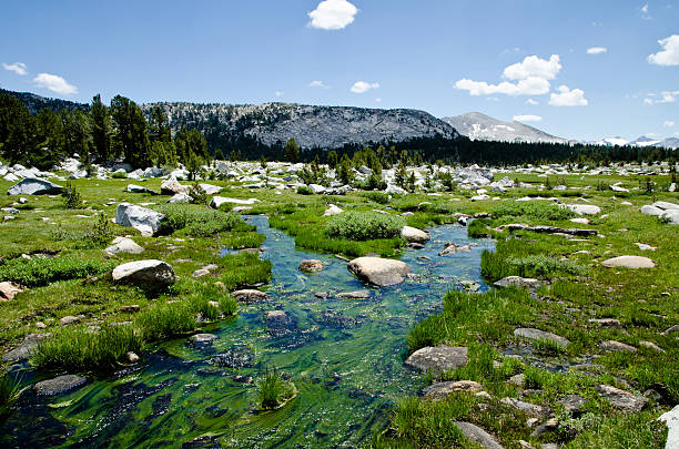 istock Yosemite National Park 181312488