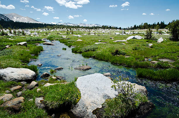 istock Yosemite National Park 181312540