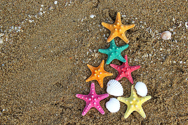 istock Christmas and New Year on the beach 181312998