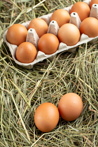 Chicken eggs in a tray and in hay. Farming concept.