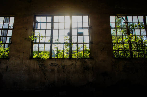 istock Abandoned Old Ruined Industrial Plant 1813141351