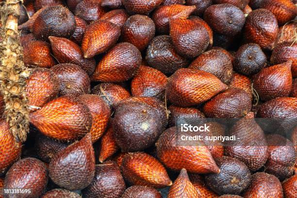 Salacca Or Sala Salak Pondoh Stock Photo - Download Image Now - Acorn, Agriculture, Antioxidant