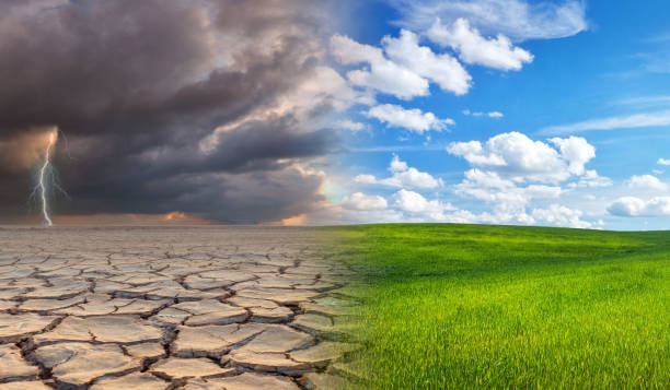 istock Dead tree with lightning on one side and living tree on the different side. Climate change and global warming concept. 1813196017