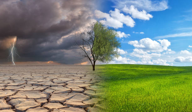 istock Dead tree with lightning on one side and living tree on the different side. Climate change and global warming concept. 1813196046
