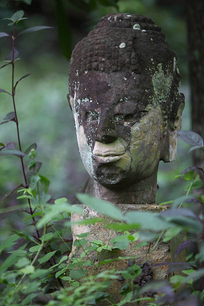 istock Head of old Buddha statue and moss at Wat U-mong 181319664