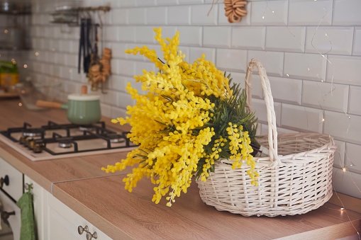 Spring mimosa flowers in a white basket in the kitchen. Interior decoration