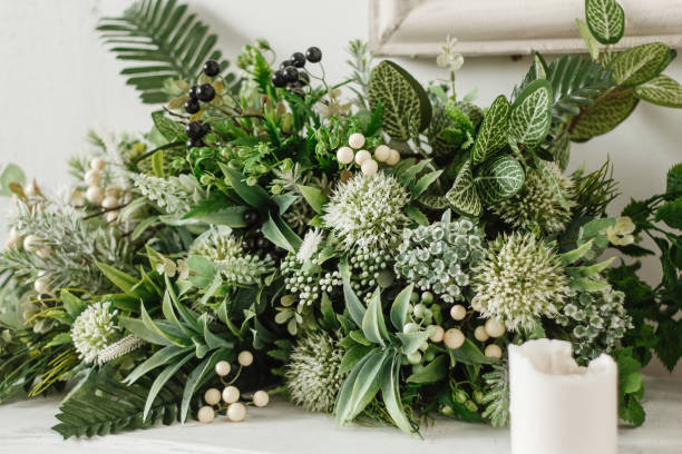 istock Green plant in a wooden box 1813207169