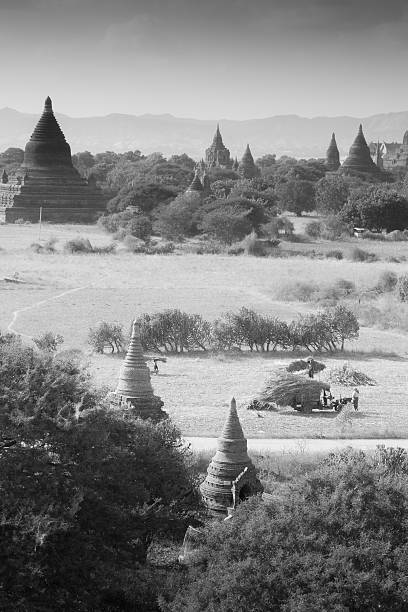 istock Bagan pagodas in Myanmar 181322223