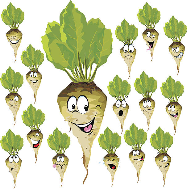 sugar beet cartoon vector art illustration