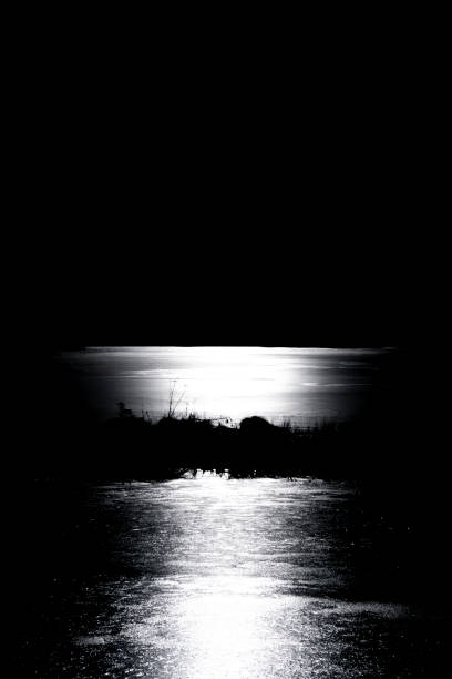 istock backlight on a frozen lake 1813248667
