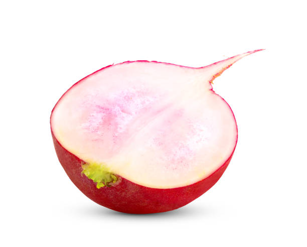 istock Red radish isolated on white background 1813252789