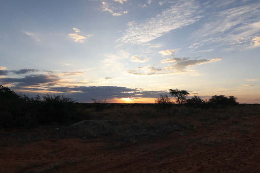 sunrise in Kalahari desert, Namibia.