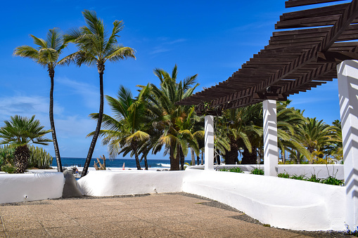 A white bench and palm trees waving in the wind, with a blue sky and sunny weather at a resort-like pool at Puerto De La Cruz, Tenerife.
