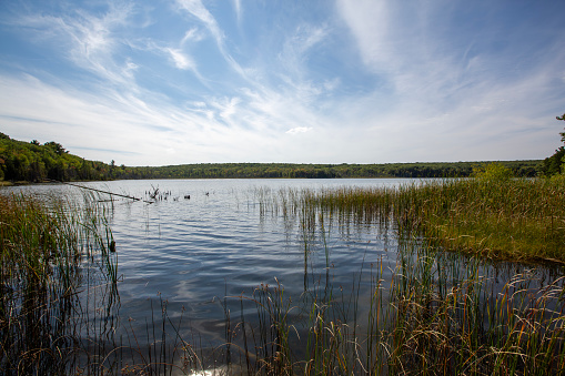 A marsh that is an extension of a small lake in Ontario.