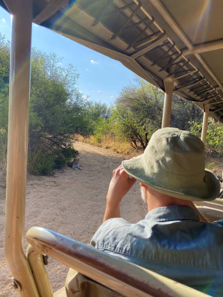 istock Viewing a leopard on a driving safari in Namibia 1813260436