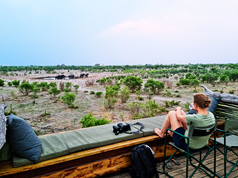 A tourist is enjoying a wide view over a waterhole during safaritrip in Botswana. A lookout is created to experience a safe and relaxed moment to watch animals passing by.