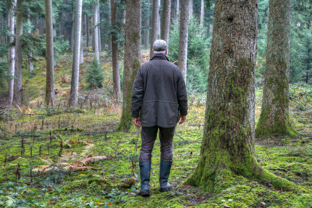 istock Loneliness in the autumn forest, a man on his hike 1813276729