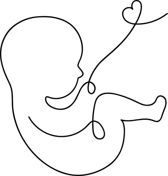 Vector illustration of A baby in the womb with an umbilical cord