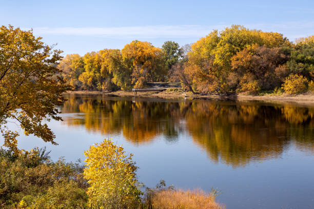 프리들리(fridley)의 미시시피 강(mississippi river)과 노스 미시시피 지역 공원(north mississippi regional park)의 브루클린 센터(brooklyn center)의 아름다운 가을 풍경 - anoka 뉴스 사진 이미지