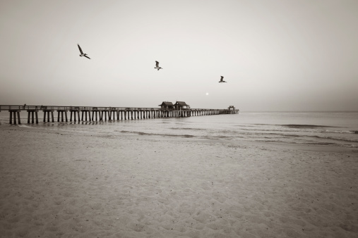 black and white shot of naples pier