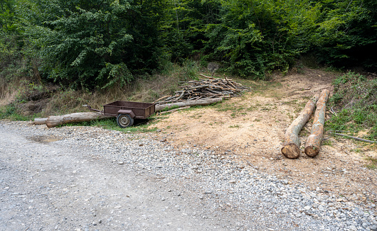 Log trunks pile, the logging timber forest wood industry. Wide banner or panorama of wood trunks timber harvesting in forest.