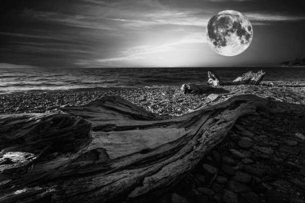 Landscape photography