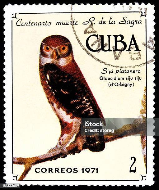 Briefmarke Stockfoto und mehr Bilder von Briefmarke - Briefmarke, Einzelnes Tier, Feder