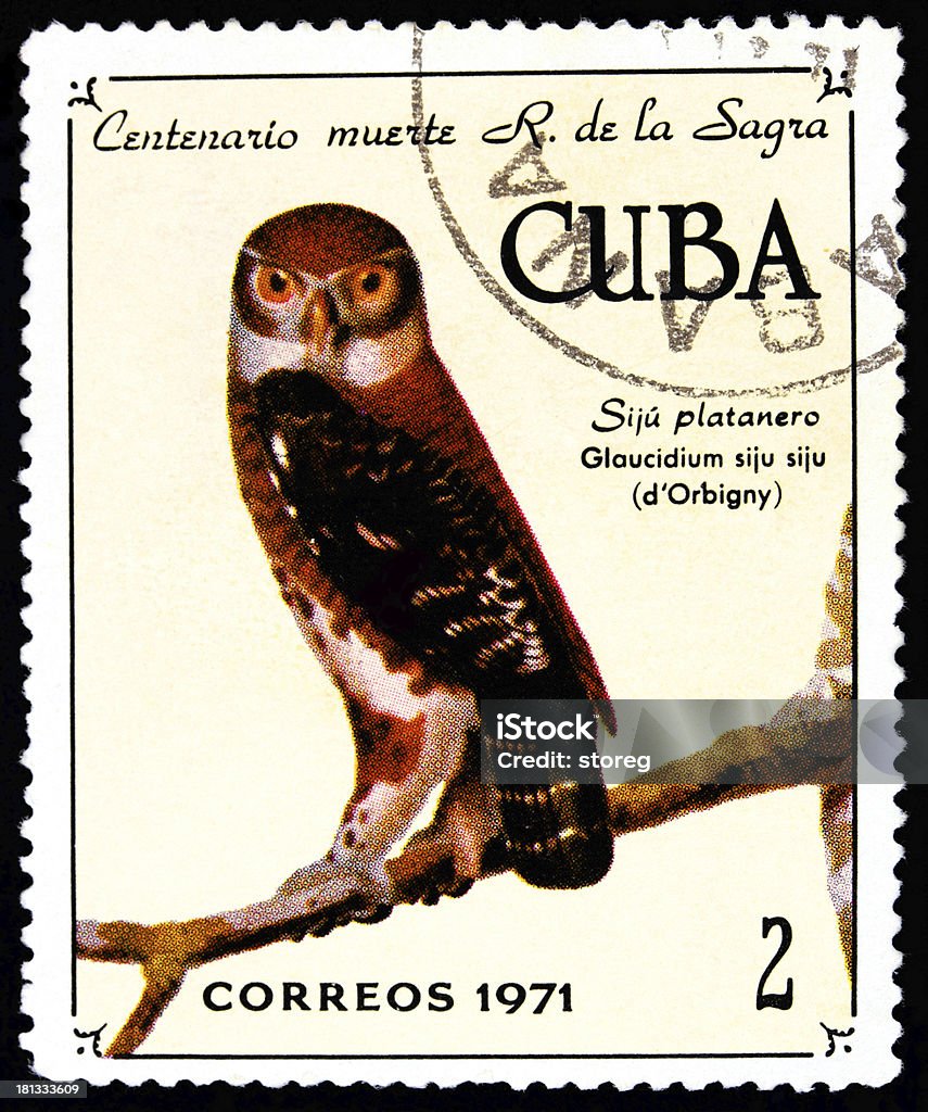 postage stamp Bird on a postage stamp Animal Stock Photo