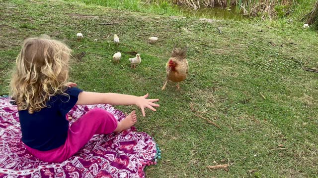 Cute girl feeding chicken and chickadee close to lake