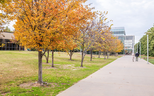 Late autumn at University of Texas at Dallas