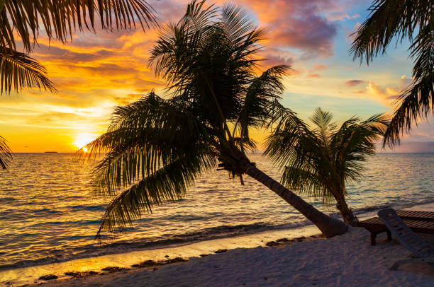 istock Sunset over Indian ocean Maldives 1813413993