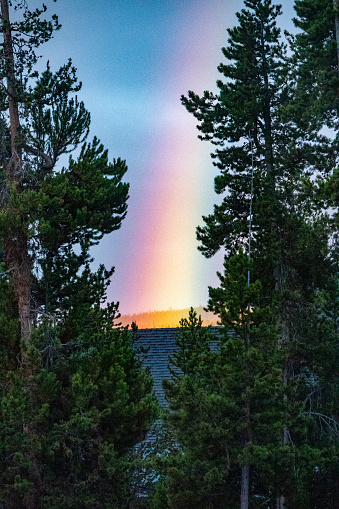 early morning Yellowstone rainbow