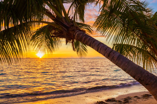 istock Sunset over Indian ocean Maldives 1813420353