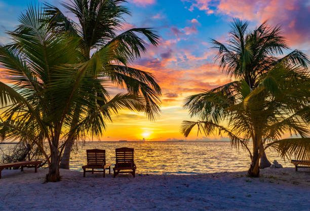 Sunset over Indian ocean Maldives Dramatic Sunset skies over Indian ocean ,palm trees at Bodufinolhu island beach,Maldives romantic sky stock pictures, royalty-free photos & images