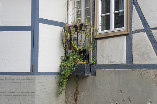 Detail of a half-timbered house with a flower box and balcony plants