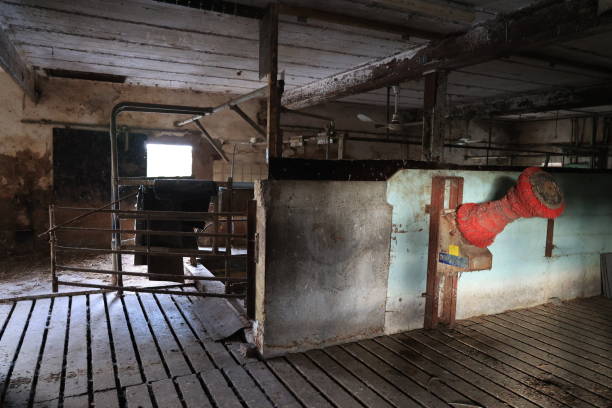 istock Lost Places in Menden im Sauerland 1813451085