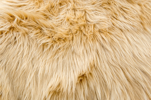 yellow texture of long wool close-up carpet. background. fluffy fur for designers, close-up.