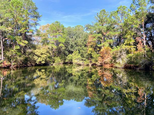 istock James Island County Park, South Carolina 1813509075